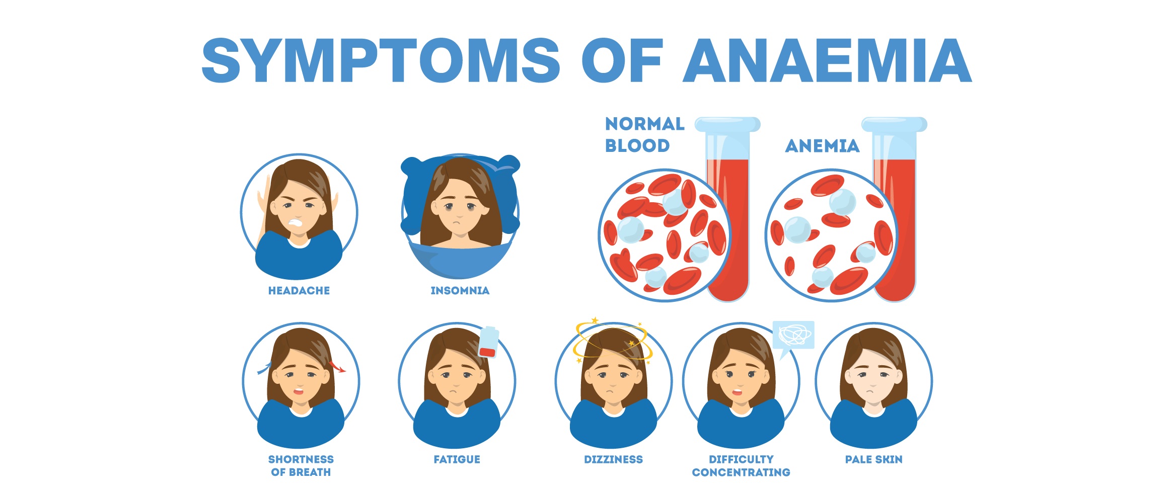 ANAEMIA PROFILE