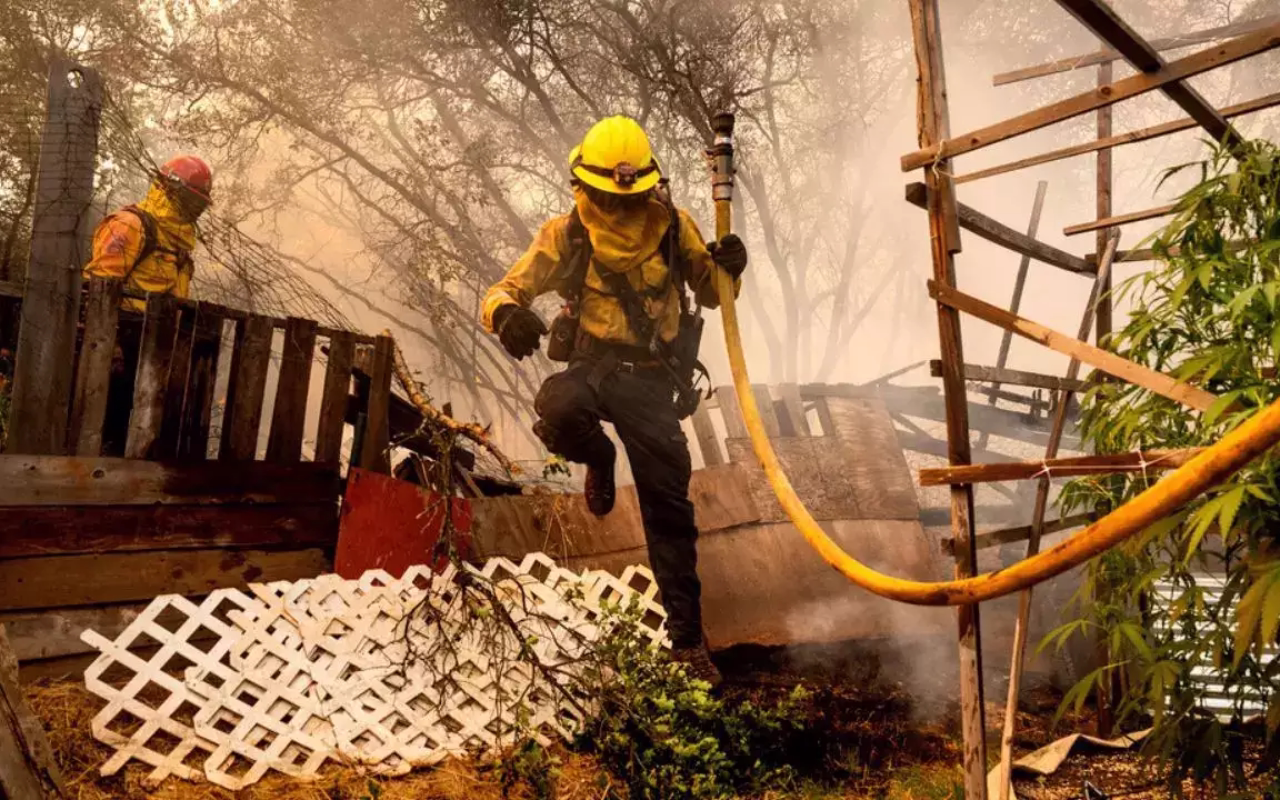 कैलिफोर्निया मे लगी आग से देश को बड़ा झटका, जानिए अब तक कितना हो चुका नुकसान