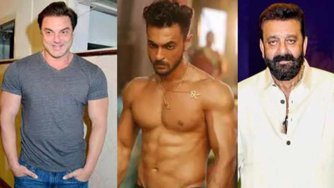 धमाल मचाने के लिए तैयार सोहेल खान, लेकर आ रहे मूवी 'माई पंजाबी निकाह', फैंस में एक्साइटमेंट