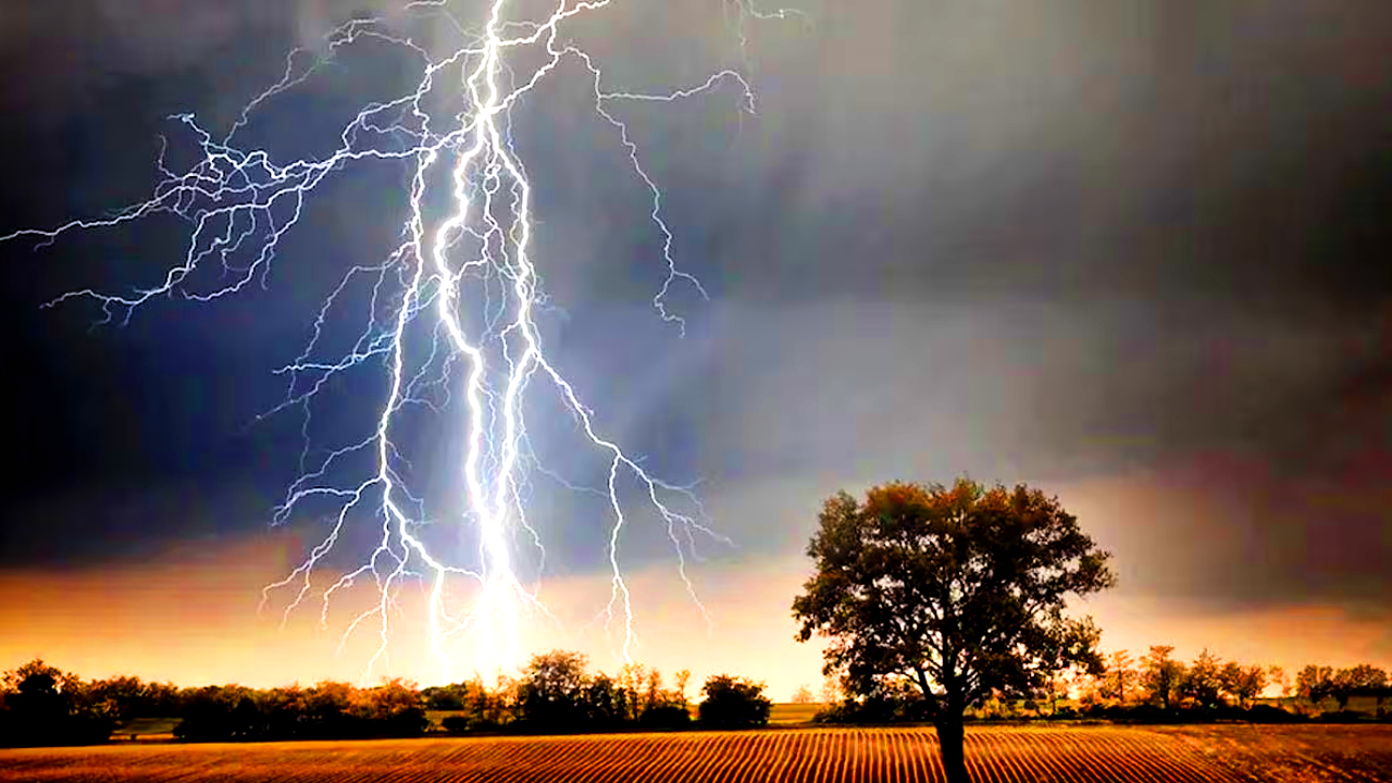 यूपी मे मानसून बना आफत, बारिश-बिजली से 14 लोगों की मौत, इन जिलों मे बिगड़े हालात