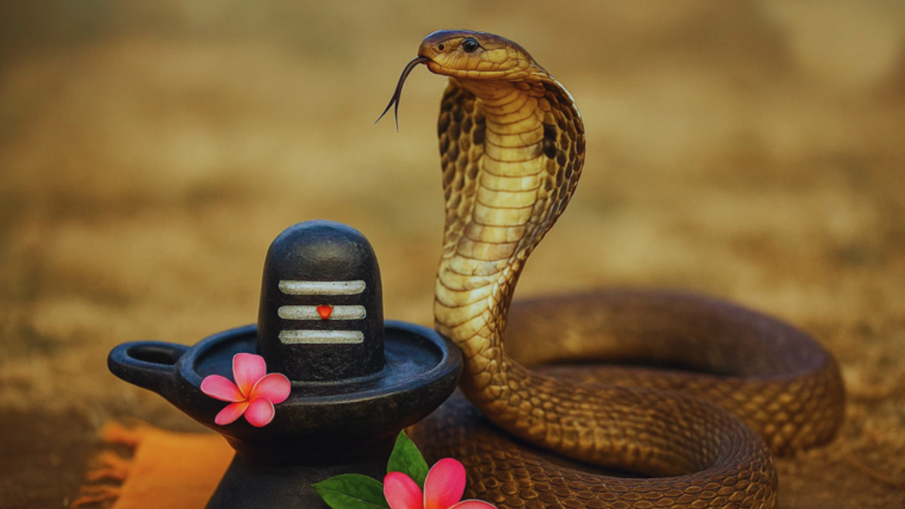 क्यों मनाई जाती है नाग पंचमी, सनातन धर्म में क्या है इसका महत्व