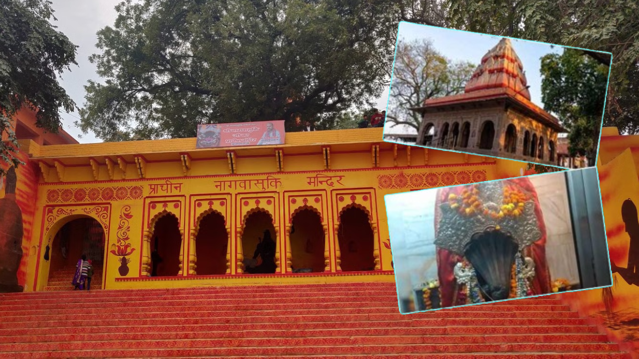 प्रयागराज का एक ऐसा मंदिर, जहां मिलती है काल सर्प दोष से मुक्ति