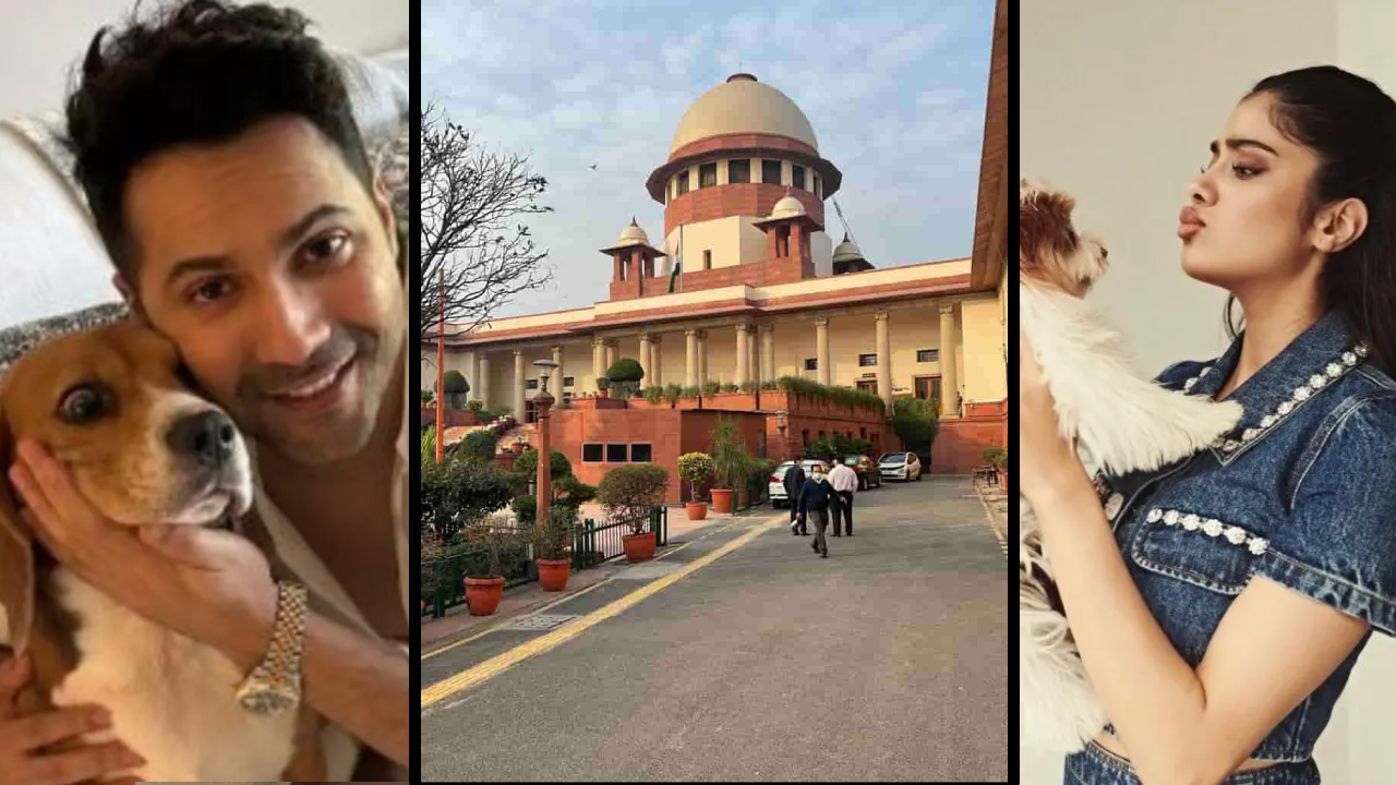 सुप्रीम कोर्ट के आदेश पर जान्हवी कपूर, वरुण धवन समेत कई सेलेब्स ने जताई आपत्ति, कहा- ये कुत्ते नही...