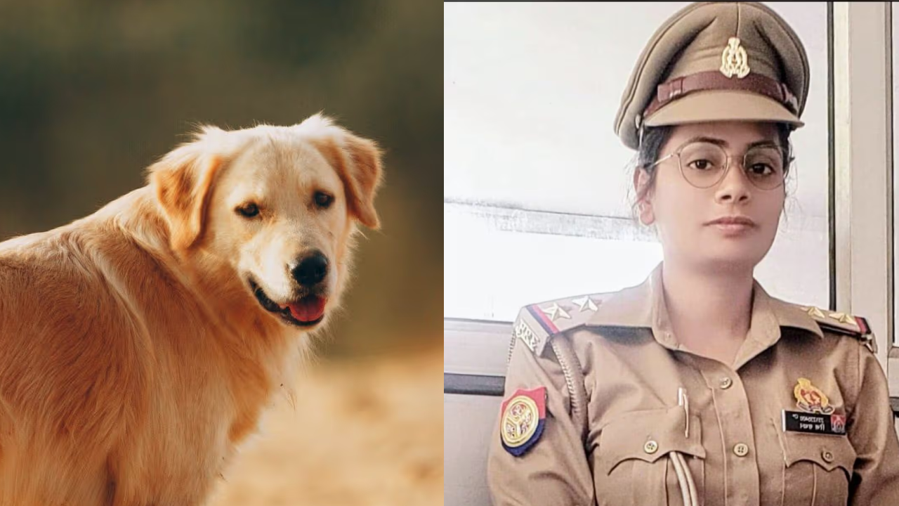 गाजियाबाद में कुत्ते से टकराई बुलेट, महिला दरोगा की मौत, पुलिस विभाग में शोक