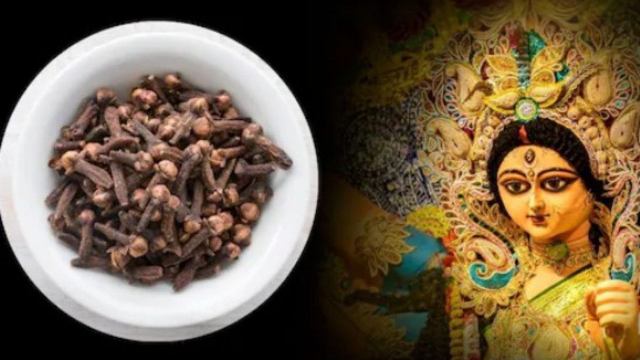 नवरात्रि में छोटे उपाय बदल सकते हैं किस्मत, कौड़ी और लौंग से जुड़े ये तरीके ला सकते हैं धन और सुख-शांति