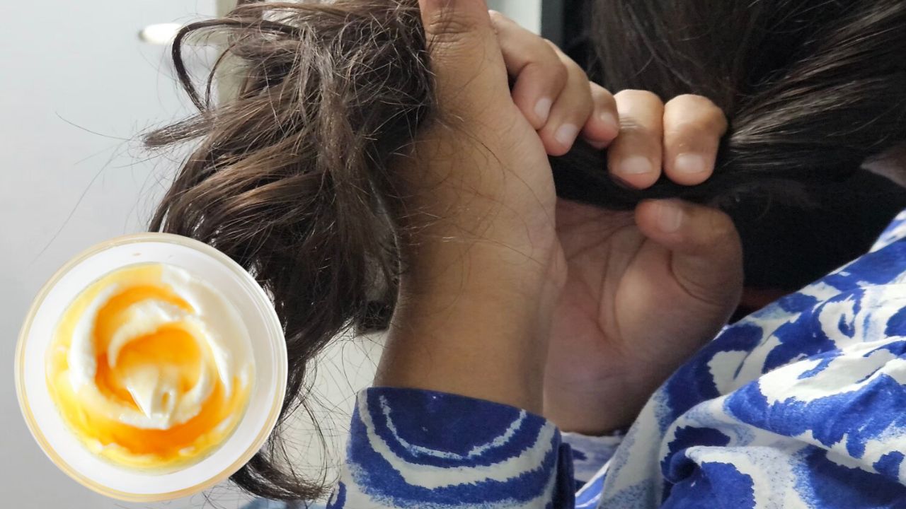 महंगे ट्रीटमेंट छोड़िए, दही-शहद से बनेंगे बाल रेशमी, घर बैठे मिलेगा सैलून जैसा असर