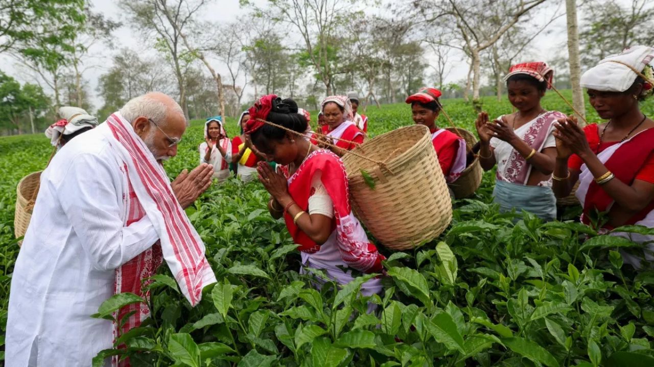 असम में चाय बागान पहुंचे पीएम मोदी, मजदूरों के साथ तस्वीरों ने बदला चुनावी माहौल, लिखी ये बात !