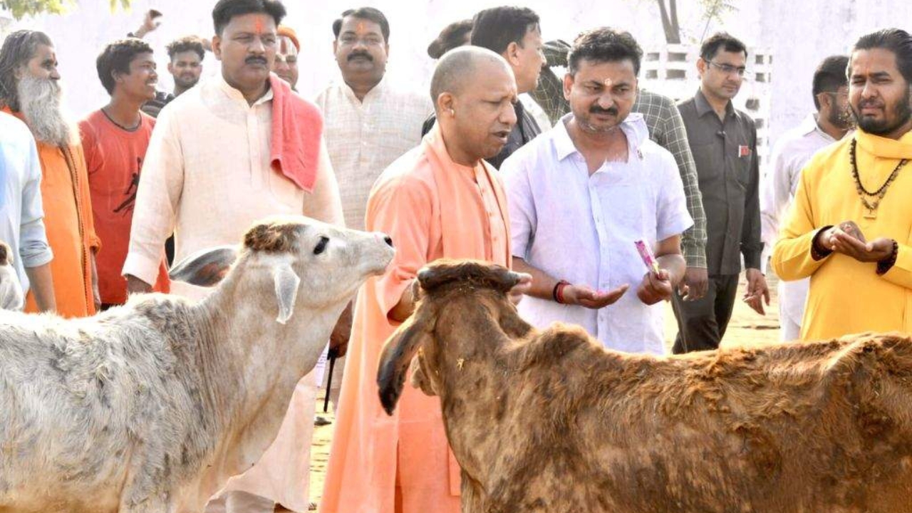 मौलानाओं की मांग पर योगी का पलटवार, बोले- गौ माता को किसी घोषणा की जरूरत नहीं