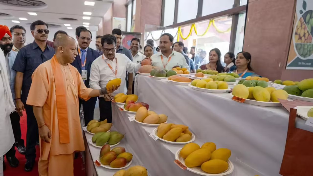 आधे किलो के आम पर ठहरे सीएम योगी के कदम, लखनऊ आम महोत्सव में किसानों को मिला ये बड़ा सम्मान